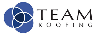 TEAM ROOFING logo