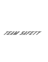 TEAM SAFETY logo