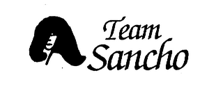 TEAM SANCHO logo