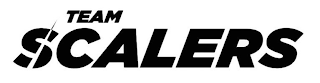 TEAM SCALERS logo