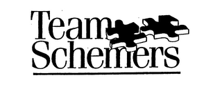 TEAM SCHEMERS logo