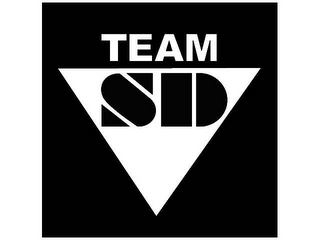 TEAM SD logo