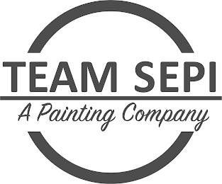 TEAM SEPI A PAINTING COMPANY logo