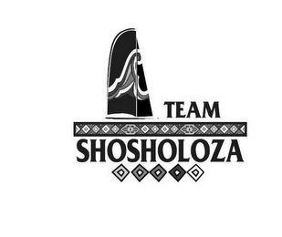 TEAM SHOSHOLOZA logo