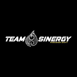 TEAM SINERGY PARADIGM SHIFT logo