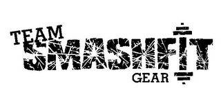 TEAM SMASHFIT GEAR logo