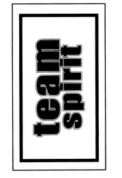 TEAM SPIRIT logo