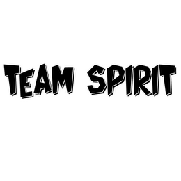 TEAM SPIRIT logo