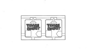 TEAM SPIRIT logo