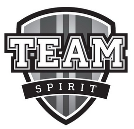 TEAM SPIRIT logo