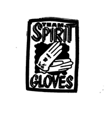 TEAM SPIRIT CLOVES logo
