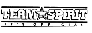 TEAM SPIRIT IT'S OFFICIAL logo