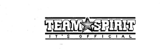 TEAM SPIRIT IT'S OFFICIAL logo