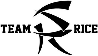 TEAM SR RICE logo
