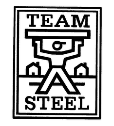 TEAM STEEL logo