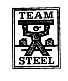 TEAM STEEL logo
