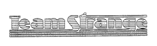 TEAM STRANGE logo