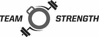TEAM STRENGTH logo