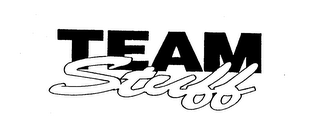 TEAM STUFF logo