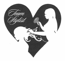 TEAM STYLIST logo