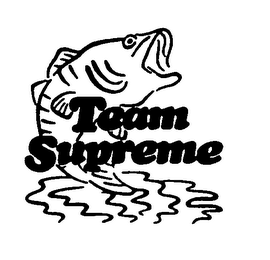 TEAM SUPREME logo