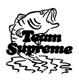 TEAM SUPREME logo