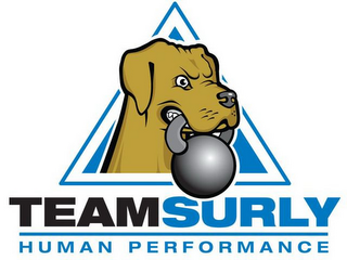 TEAM SURLY HUMAN PERFORMANCE logo