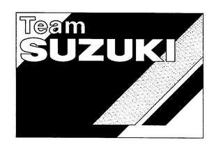 TEAM SUZUKI logo