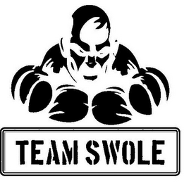 TEAM SWOLE logo