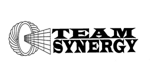 TEAM SYNERGY logo