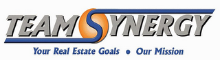 TEAM SYNERGY YOUR REAL ESTATE GOALS OUR MISSION logo