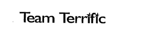 TEAM TERRIFIC logo