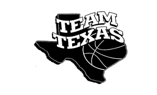 TEAM TEXAS logo