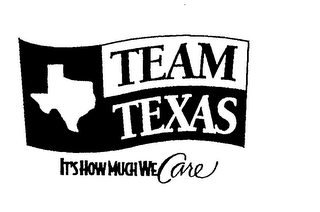 TEAM TEXAS IT'S HOW MUCH WE CARE logo