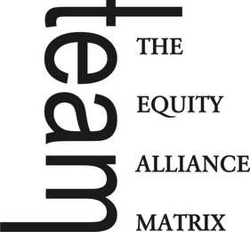 TEAM THE EQUITY ALLIANCE MATRIX logo
