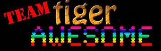 TEAM TIGER AWESOME logo