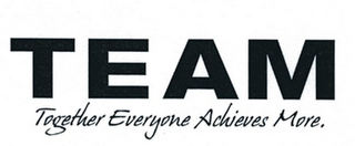 TEAM TOGETHER EVERYONE ACHIEVES MORE. logo