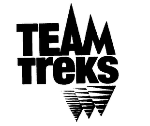TEAM TREKS logo
