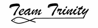 TEAM TRINITY logo