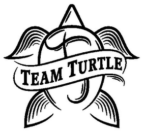 TEAM TURTLE logo