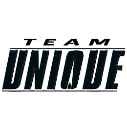 TEAM UNIQUE logo