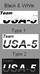 TEAM USA-5 logo
