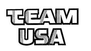 TEAM USA logo