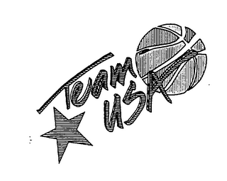TEAM USA logo