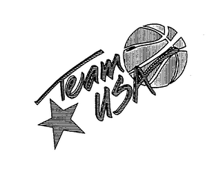 TEAM USA logo