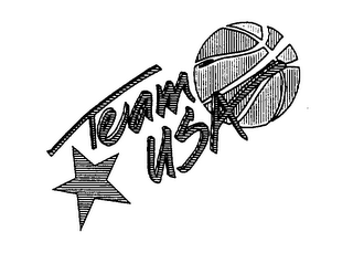 TEAM USA logo