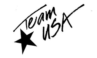 TEAM USA logo