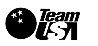 TEAM USA logo
