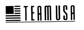 TEAM USA logo