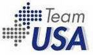 TEAM USA logo